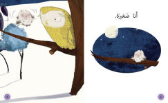Alternative view 3 of Collins Big Cat Arabic - Oh Owl!: Level 4