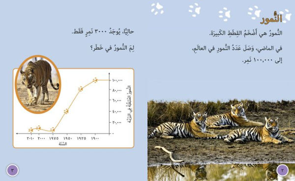 Collins Big Cat Arabic - Tigers in Danger: Level 10