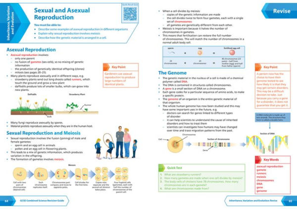 Collins GCSE Revision and Practice: New 2016 Curriculum - AQA GCSE Combined Science Trilogy Foundation Tier: All-in-one Revision and Practice