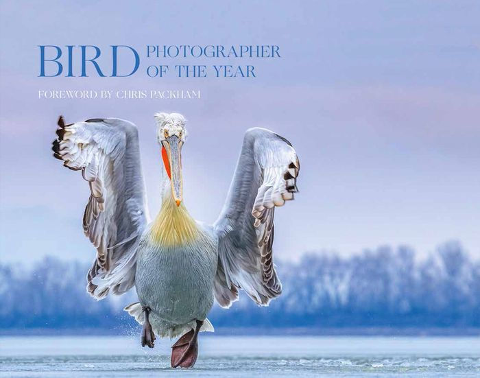 Bird Photographer of the Year Collection 4 (Bird Photographer of the