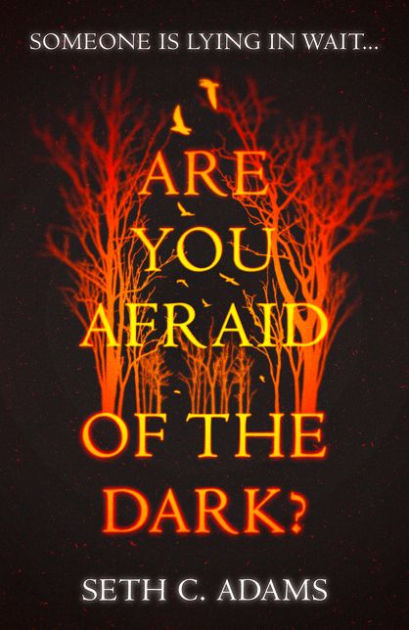 Are You Afraid of the Dark? by Seth Adams, Paperback Barnes