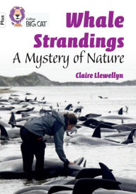 Title: Collins Big Cat - WHALE STRANDINGS: A MYSTERY OF NATURE: Band 10+/White Plus: Band 10+/White Plus, Author: Claire Llewellyn