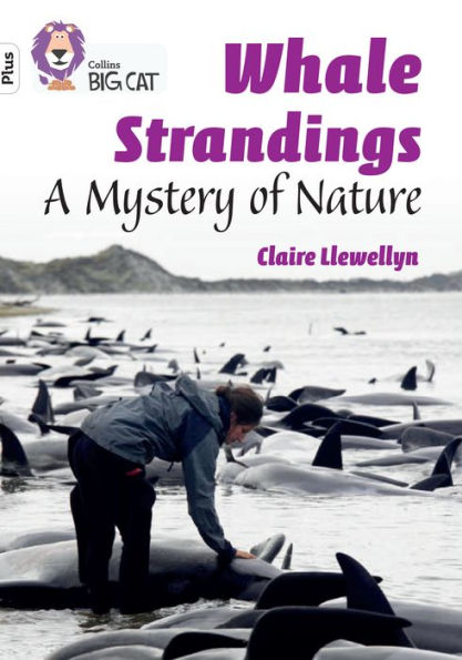 Collins Big Cat - WHALE STRANDINGS: A MYSTERY OF NATURE: Band 10+/White Plus: Band 10+/White Plus
