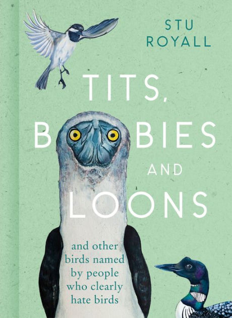 Tits, Boobies and Loons: And Other Birds Named by People Who Clearly Hate  Birds by Stu Royall, Hardcover