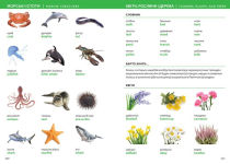 Alternative view 3 of Ukrainian - English Visual Dictionary