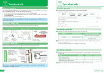 Alternative view 4 of Collins GCSE Science 9-1: AQA GCSE 9-1 Combined Science Trilogy Higher: Organise and Retrieve Your Knowledge