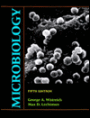 Microbiology / Edition 5