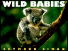 Wild Babies
