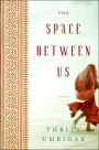 The Space Between Us: A Novel