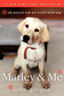 Alternative view 3 of Marley & Me: Life and Love with the World's Worst Dog