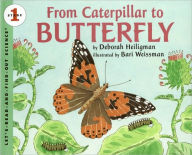 Title: From Caterpillar to Butterfly Big Book (Let's-Read-and-Find-Out Science 1 Series), Author: Deborah Heiligman