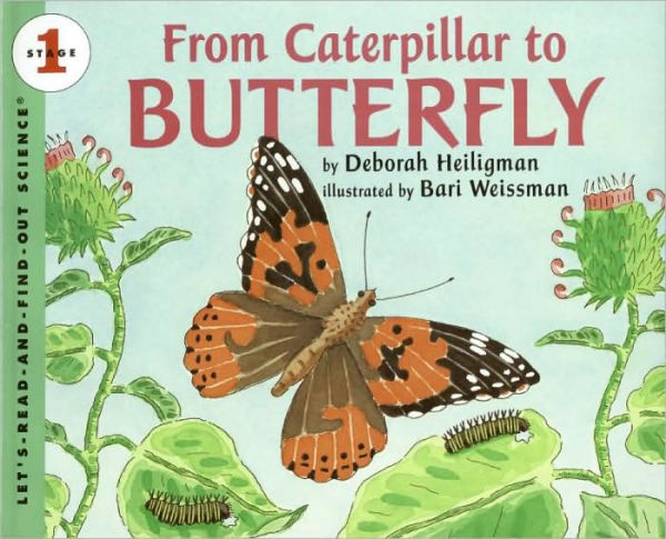 From Caterpillar to Butterfly Big Book (Let's-Read-and-Find-Out Science 1 Series)