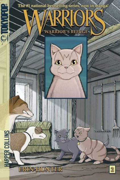 Warriors The Broken Code Lost Stars Book l Official Warrior Cats Store