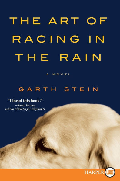 The Art of Racing in the Rain