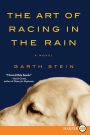 The Art of Racing in the Rain