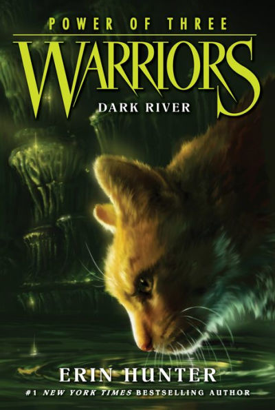 Dark River (Warriors: Power of Three Series #2)