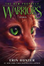 Dawn (Warriors: The New Prophecy Series #3)