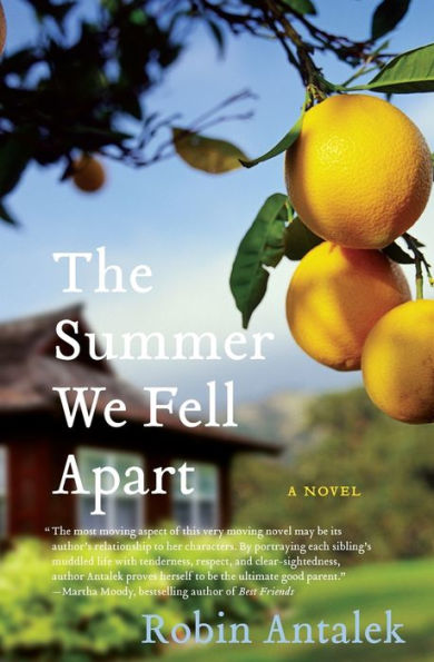 The Summer We Fell Apart