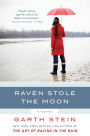 Raven Stole the Moon