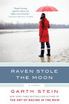 Alternative view 1 of Raven Stole the Moon