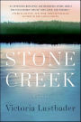 Stone Creek: A Novel