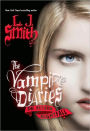 Nightfall (Vampire Diaries: The Return Series #1)