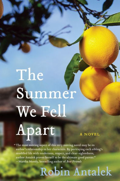 The Summer We Fell Apart: A Novel