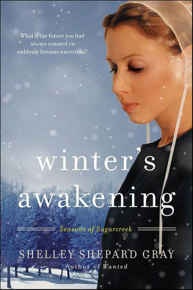 Winter's Awakening (Seasons of Sugarcreek Series #1)
