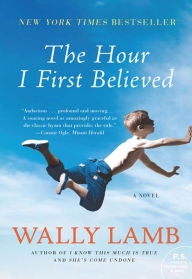 Title: The Hour I First Believed: A Novel, Author: Wally Lamb