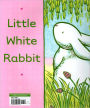 Alternative view 2 of Little White Rabbit