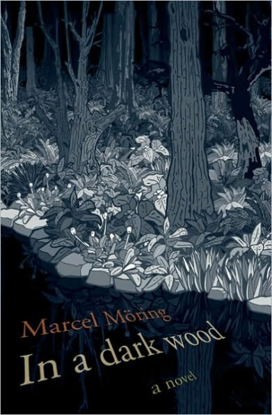 In a Dark Wood: A Novel