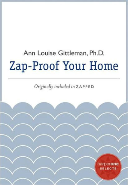Zap Proof Your Home: A HarperOne Select