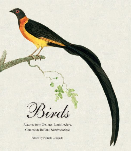 Birds: Mini Archive