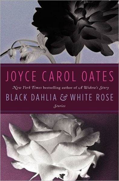 Black Dahlia and White Rose