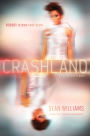 Crashland: A Twinmaker Novel