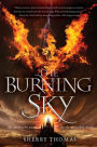 The Burning Sky (Elemental Trilogy #1)