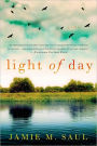 Light of Day: A Novel