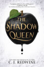 The Shadow Queen (Ravenspire Series #1)