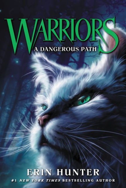 Forest of Secrets (Warriors, #3) by Erin Hunter