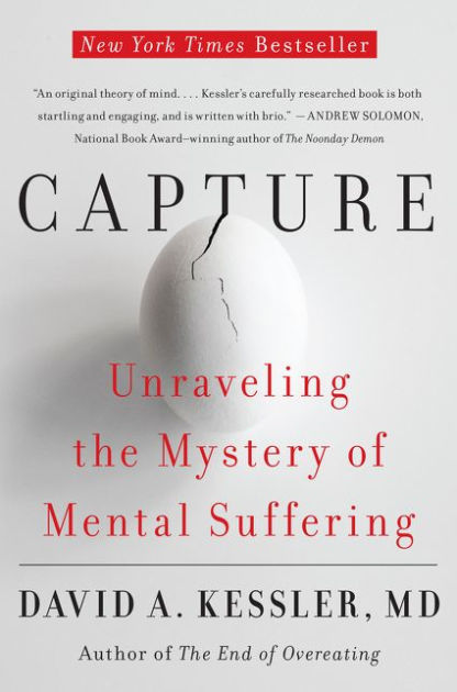 Capture: Unraveling the Mystery of Mental Suffering by David A. Kessler