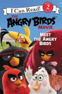 The Angry Birds Movie: Meet the Angry Birds