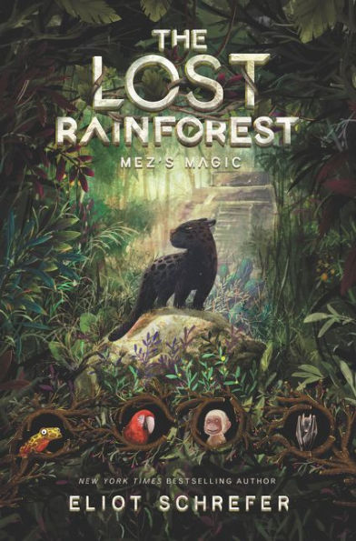 Mez's Magic (The Lost Rainforest Series #1)