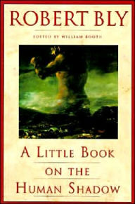 Little Book on the Human Shadow