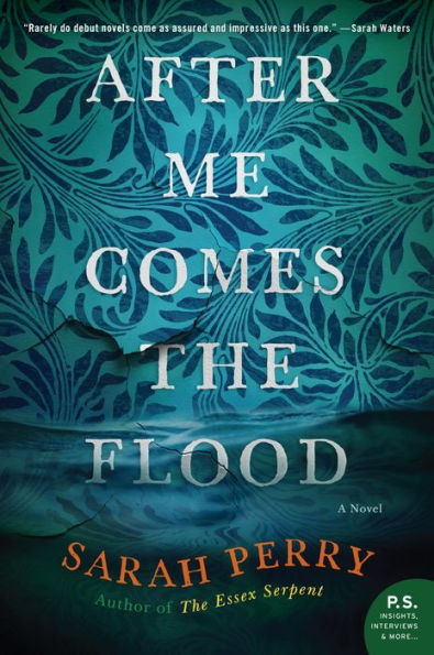 After Me Comes the Flood: A Novel