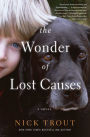 The Wonder of Lost Causes: A Novel
