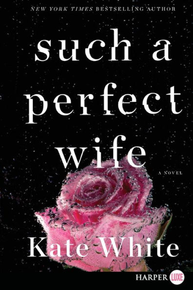 Such a Perfect Wife: A Novel