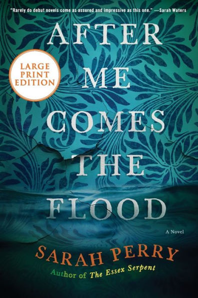 After Me Comes the Flood: A Novel