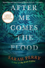 After Me Comes the Flood: A Novel