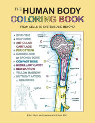 Title: The Human Body Coloring Book: From Cells to Systems and Beyond, Author: Coloring Concepts Inc.
