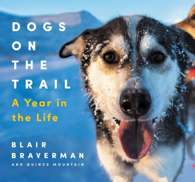 Dogs on the Trail: A Year in the Life by Blair Braverman, Quince Mountain,  Hardcover Barnes  Noble®